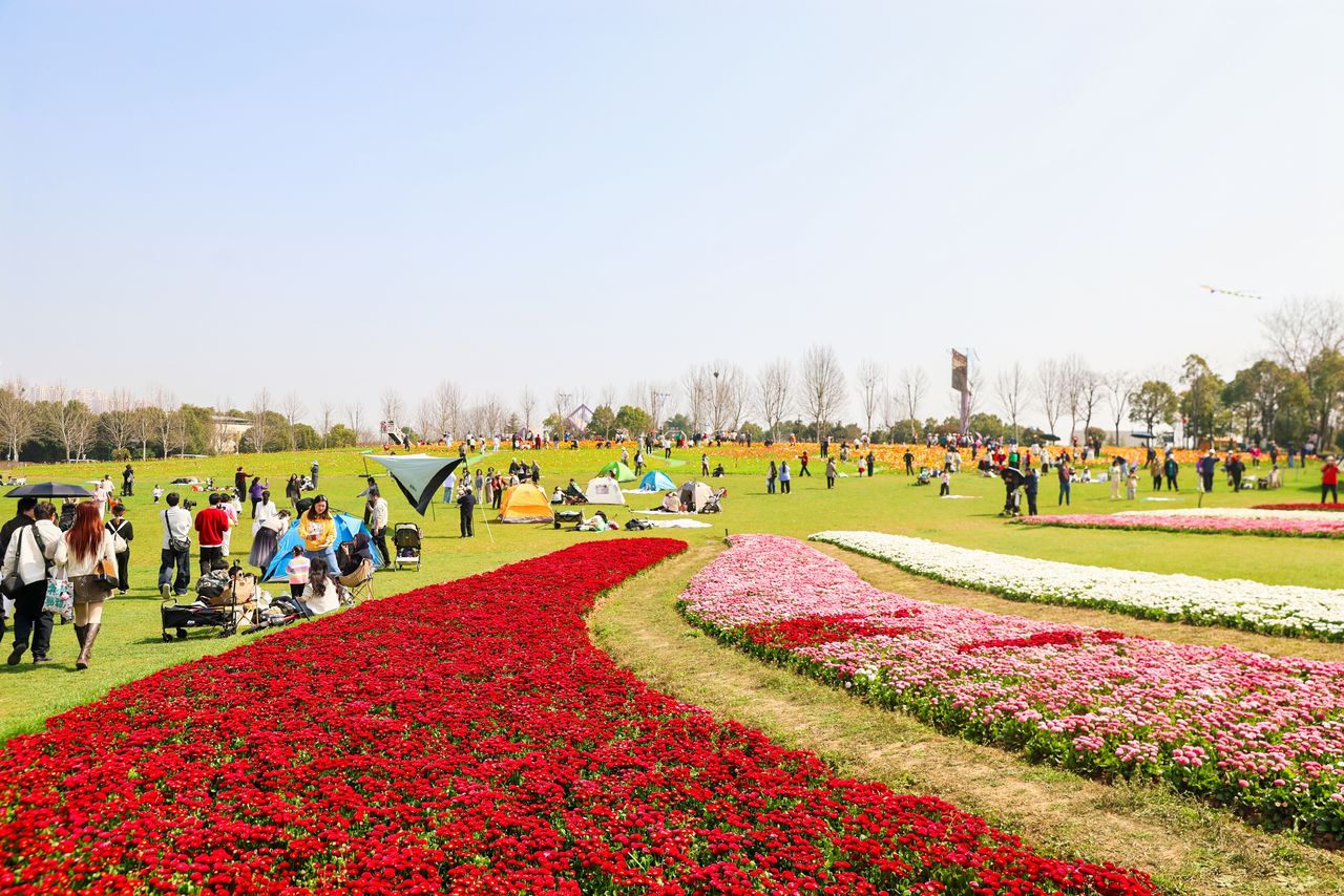 78296293a9282a7e137bf2d9d240e803.jpg c7娱乐