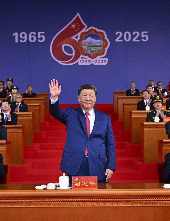 c7娱乐