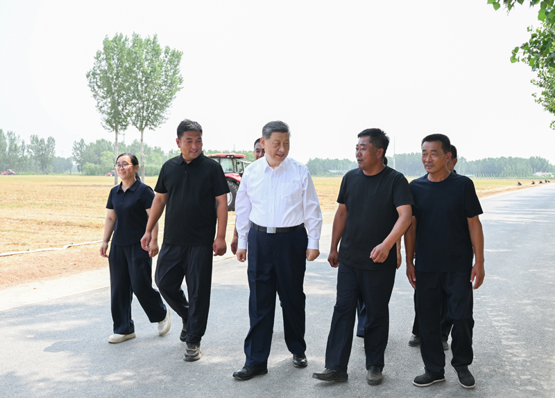 c7娱乐