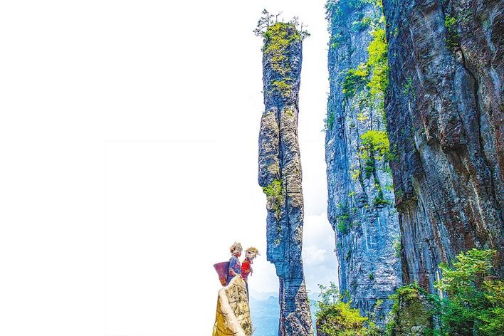 c7娱乐