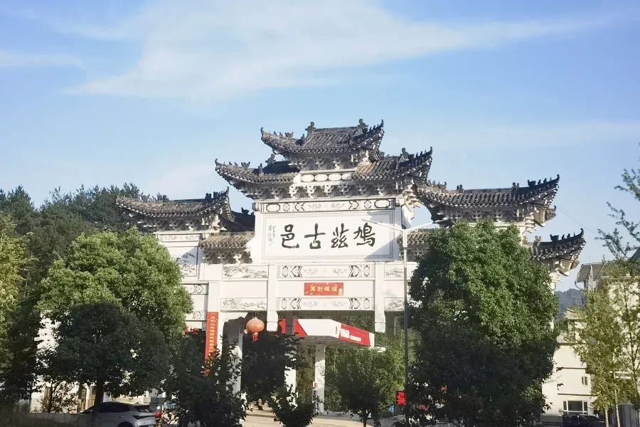 c7娱乐