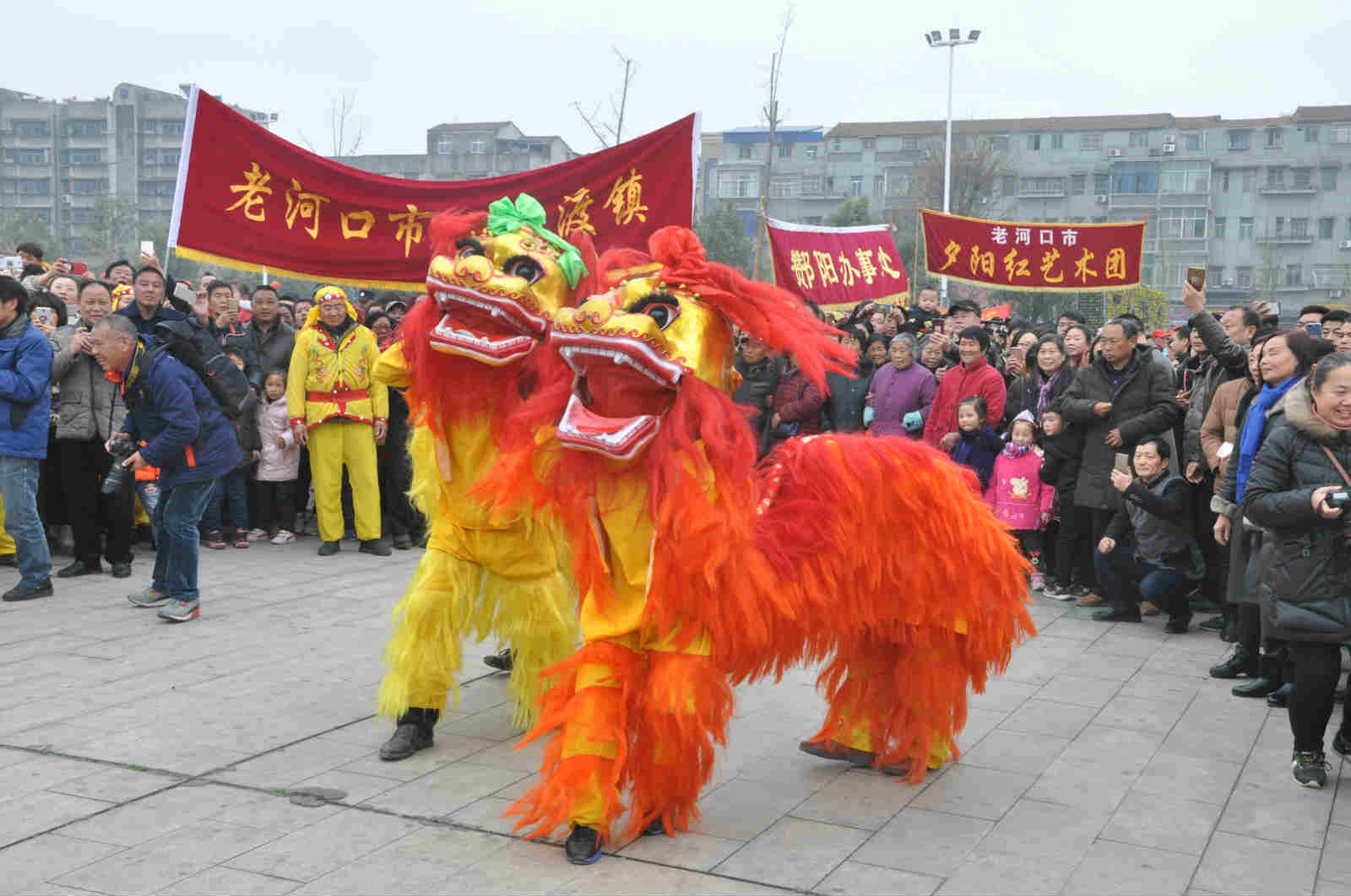 c7娱乐