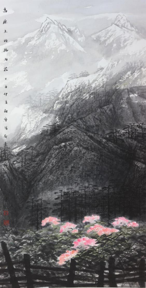 c7娱乐