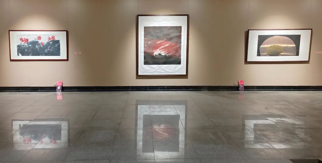 c7娱乐