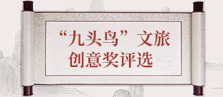 c7娱乐
